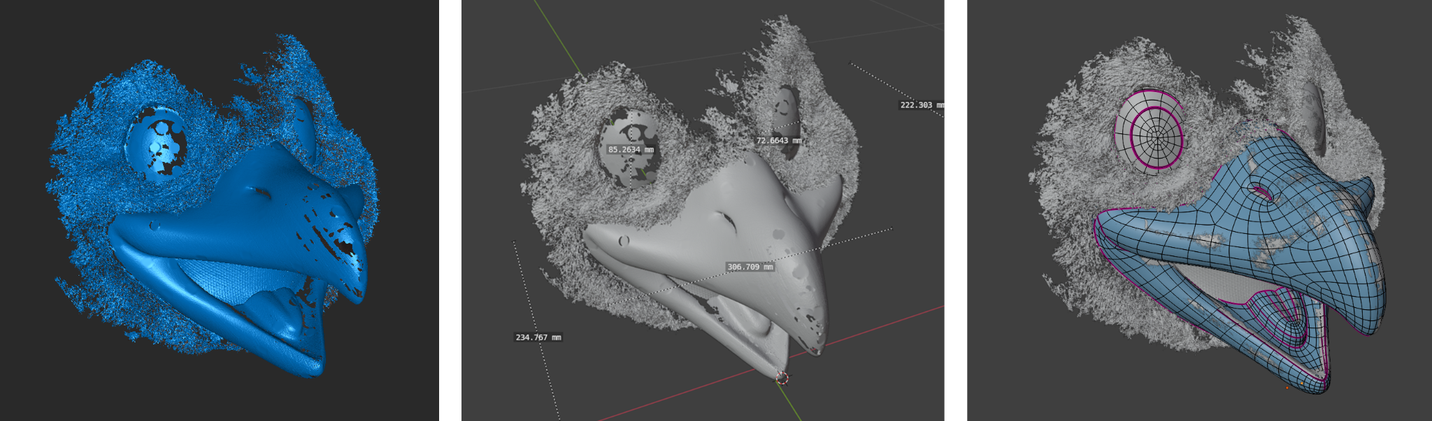 Proceso de escaneado, medición y reconstrucción 3D del pico de una mascota corporativa